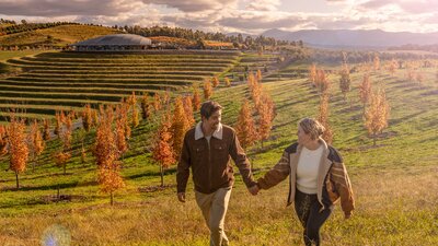 Couple walking past trees in autumn