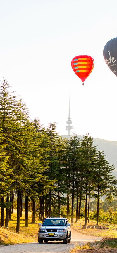 A car is travelling through a forest with hot air balloons floating in the distance,